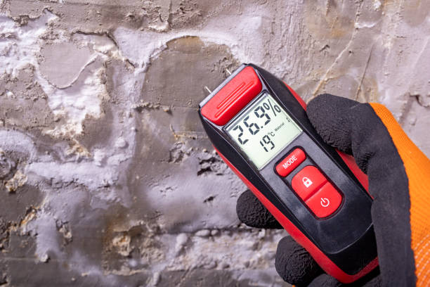 Best Mold Cleaning Services  in Rupert, WV